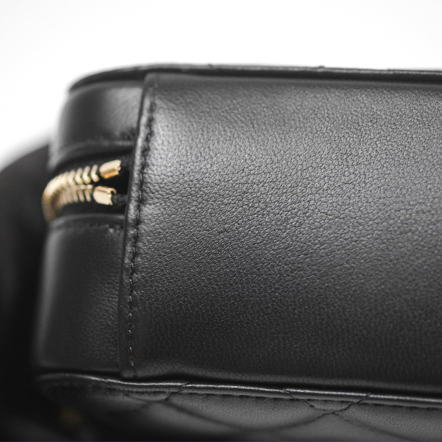 Chanel Pearl Crush Mini Camera Case Quilted Black Lambskin Aged Gold Hardware