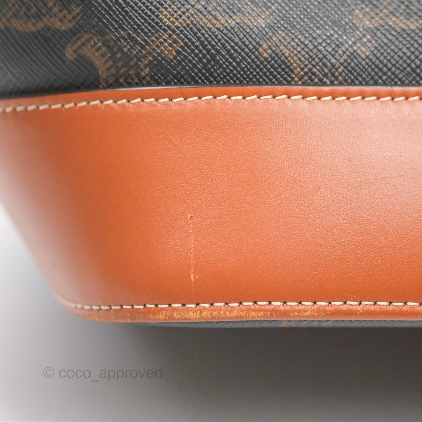 Celine Medium Bucket Bag Triomphe Canvas Tan Calfskin