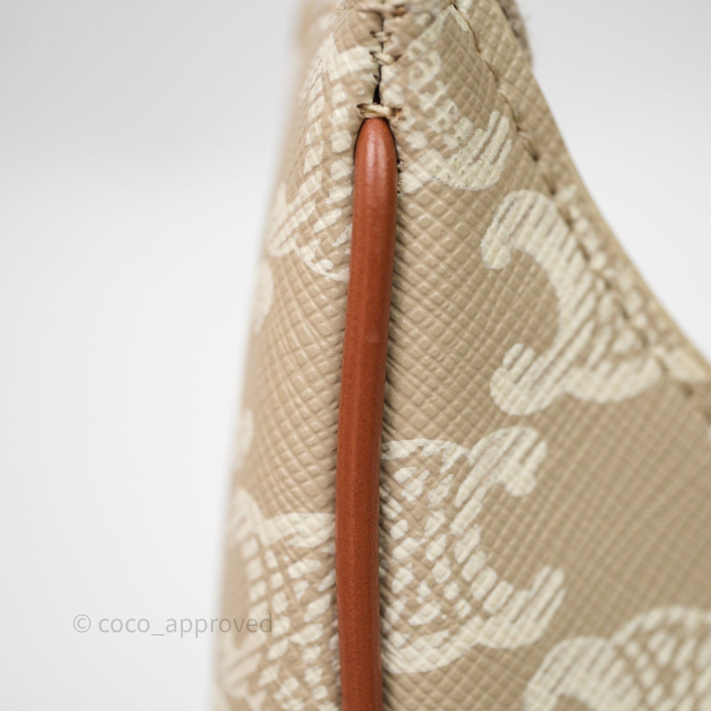 Celine Ava Bag In Triomphe Canvas Calfskin Grege