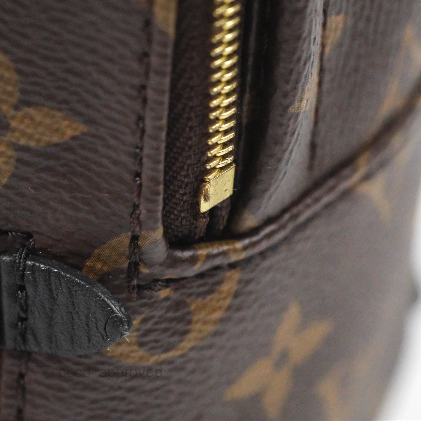 Louis Vuitton Monogram Mini Palm Springs Backpack⁣