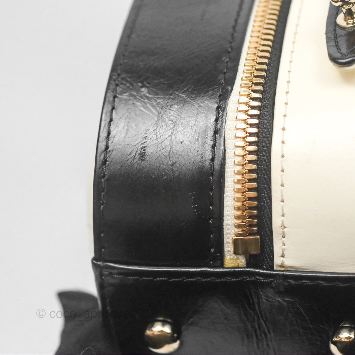 Chanel Camera Case Bag Black/White Calfskin Gold Hardware