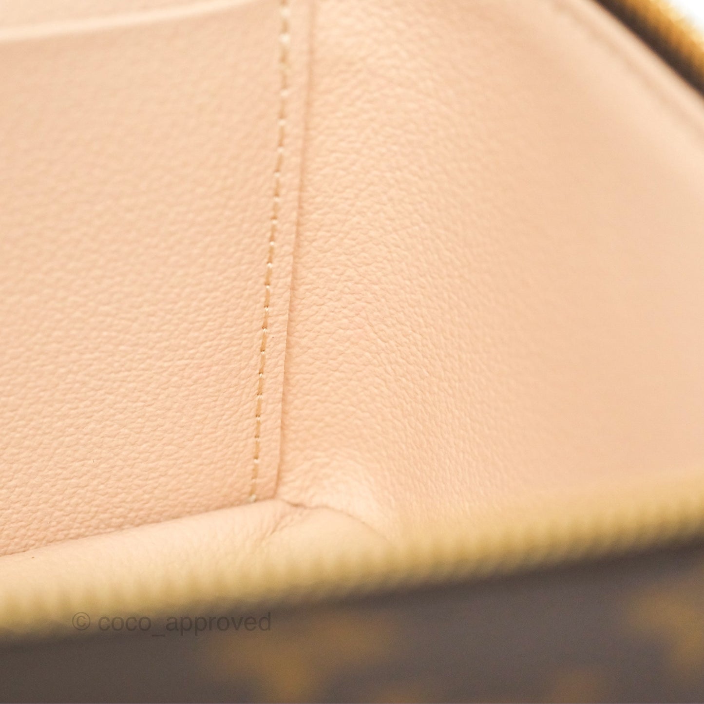 Louis Vuitton Monogram Nice Mini