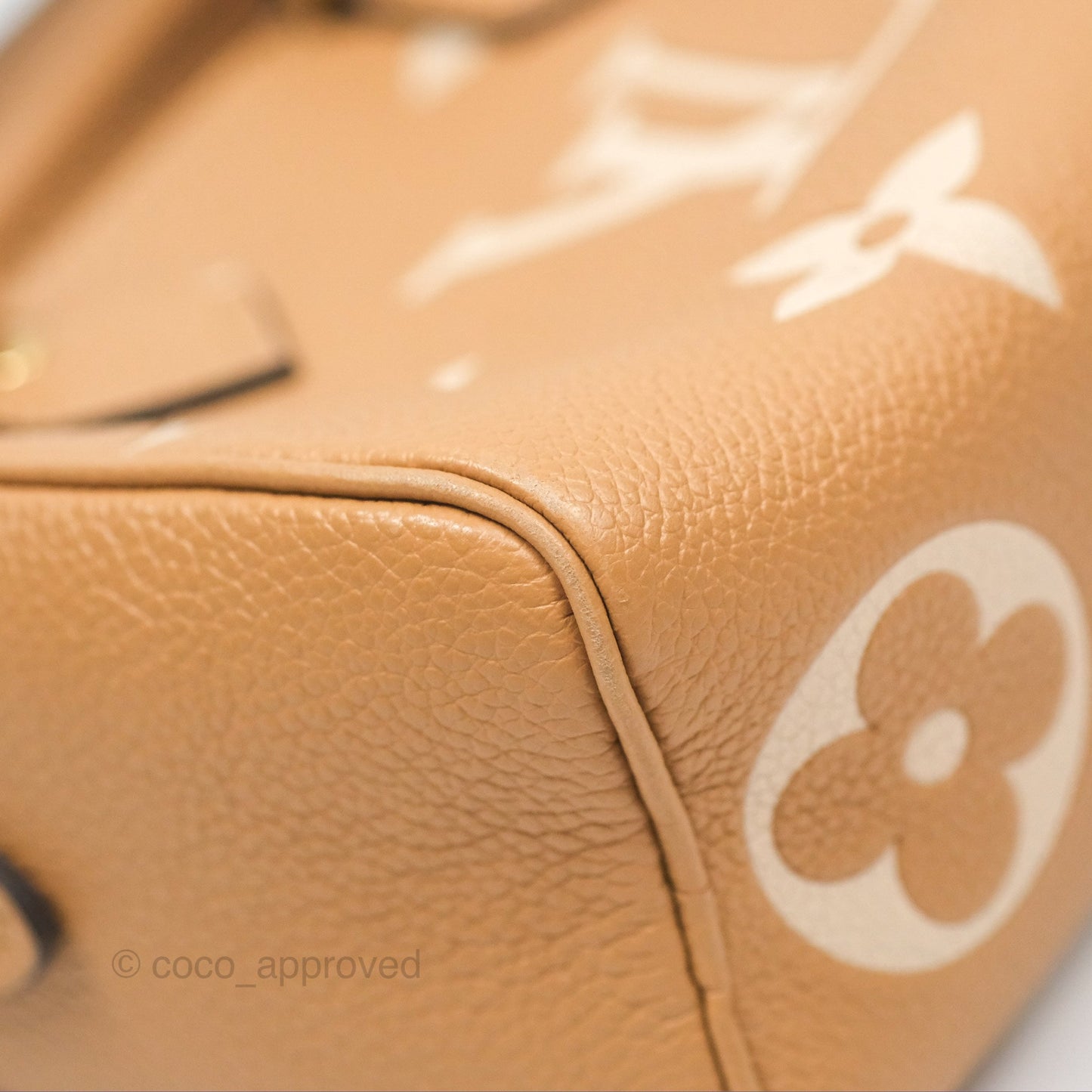 Louis Vuitton Nano Speedy Monogram Arizona Creme