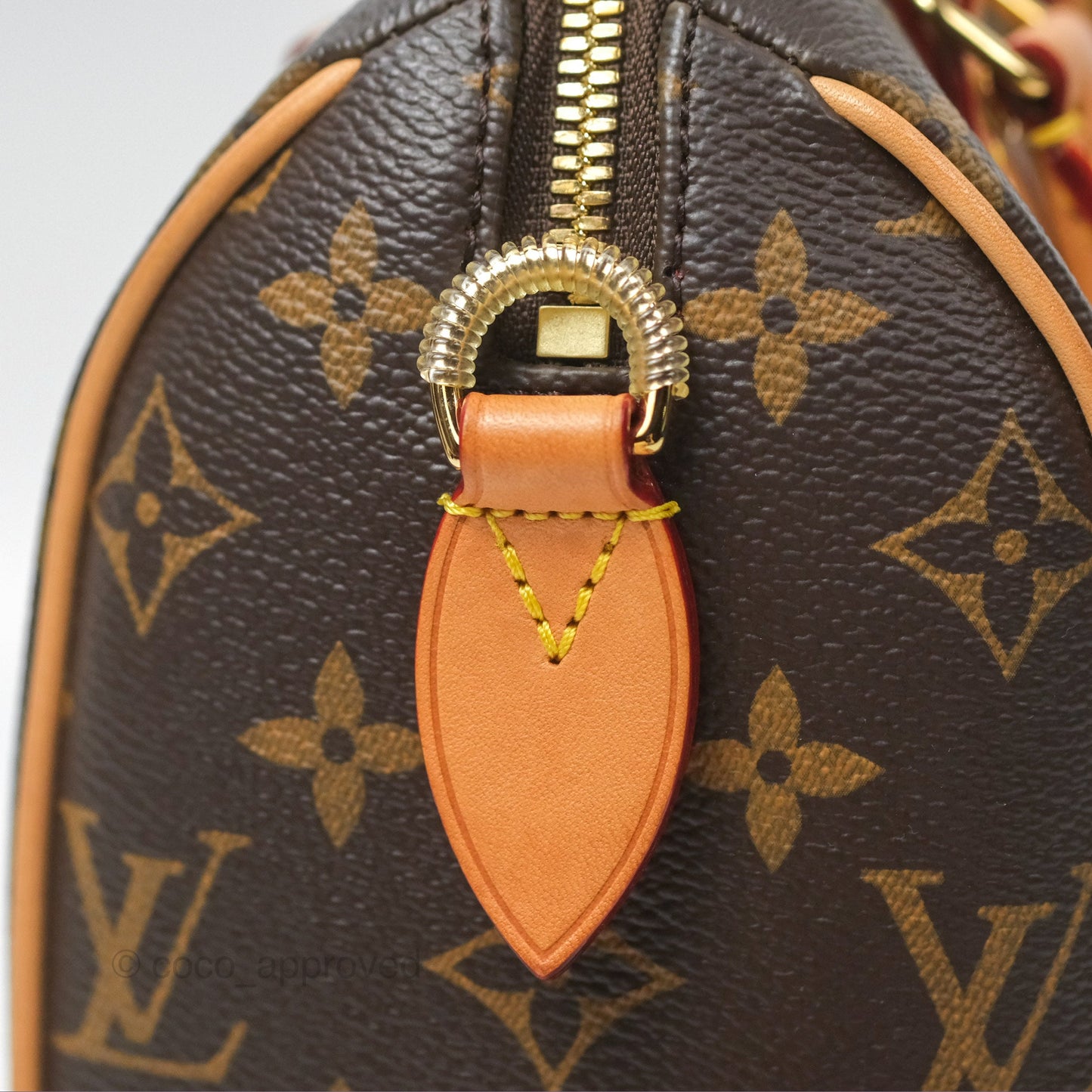 Louis Vuitton Speedy Bandoulière 20 Monogram