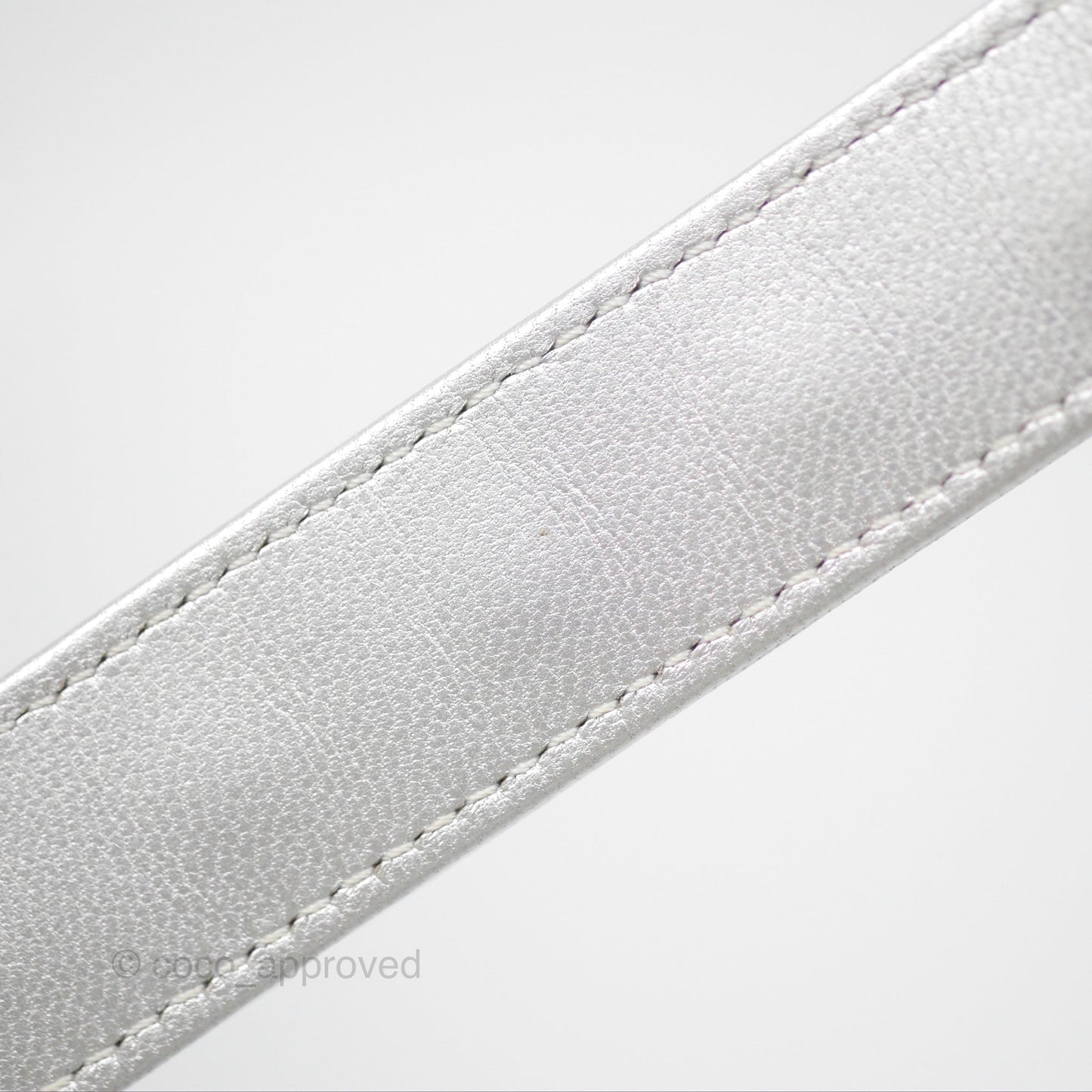 Chanel 19 Small Metallic Silver Goatskin Mixed Hardware