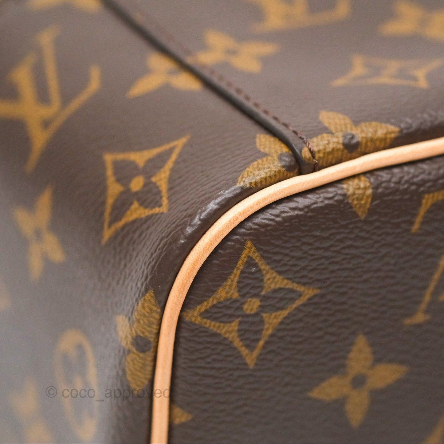 Louis Vuitton Monogram Nice Mini