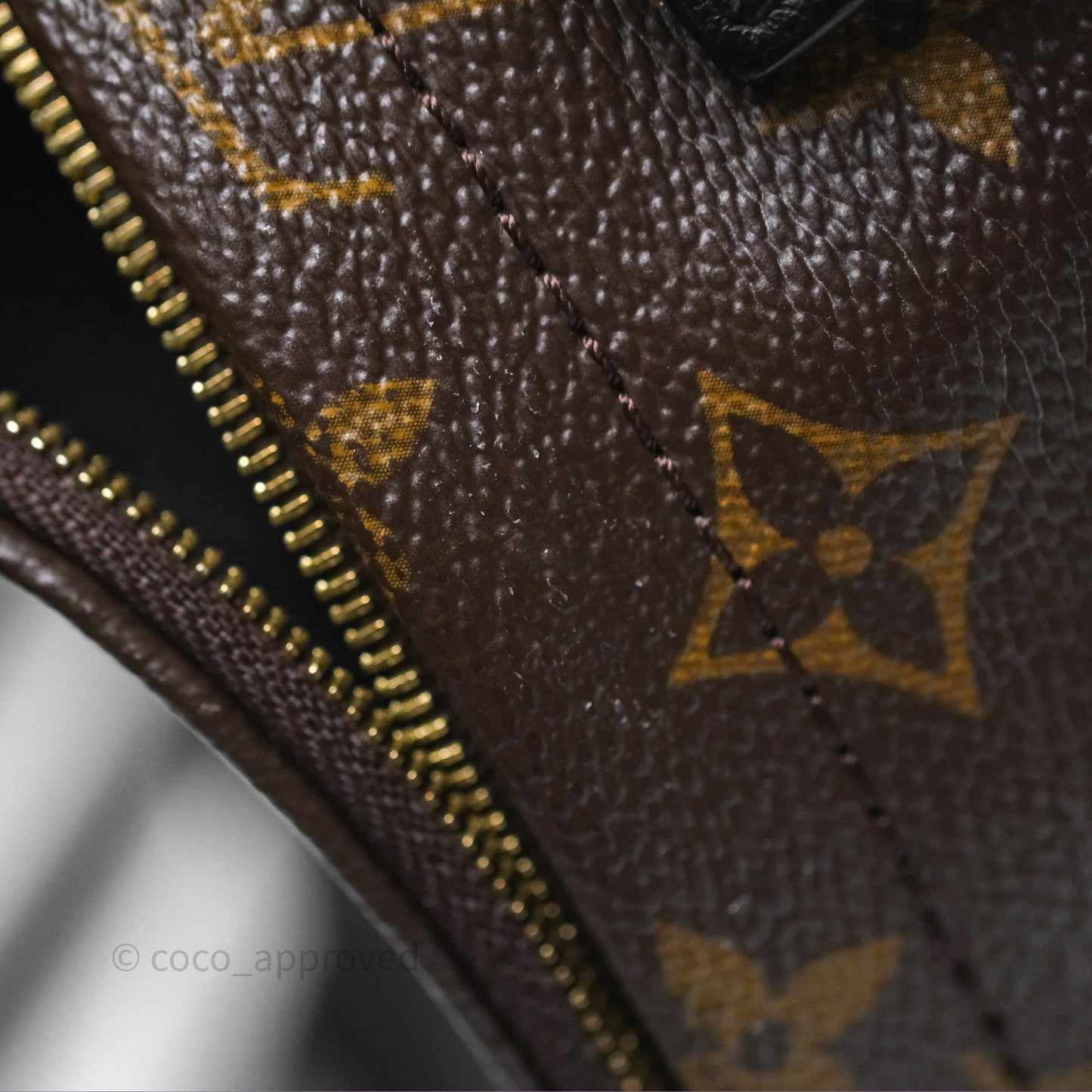 Louis Vuitton Monogram Mini Palm Springs Backpack⁣