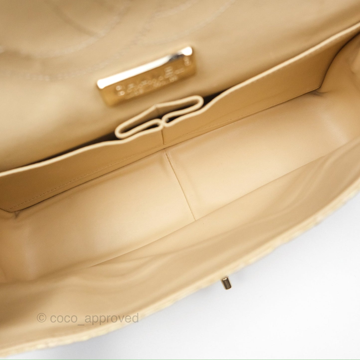 Chanel Jumbo Double Flap Iridescent Gold Python Gold Hardware⁣⁣