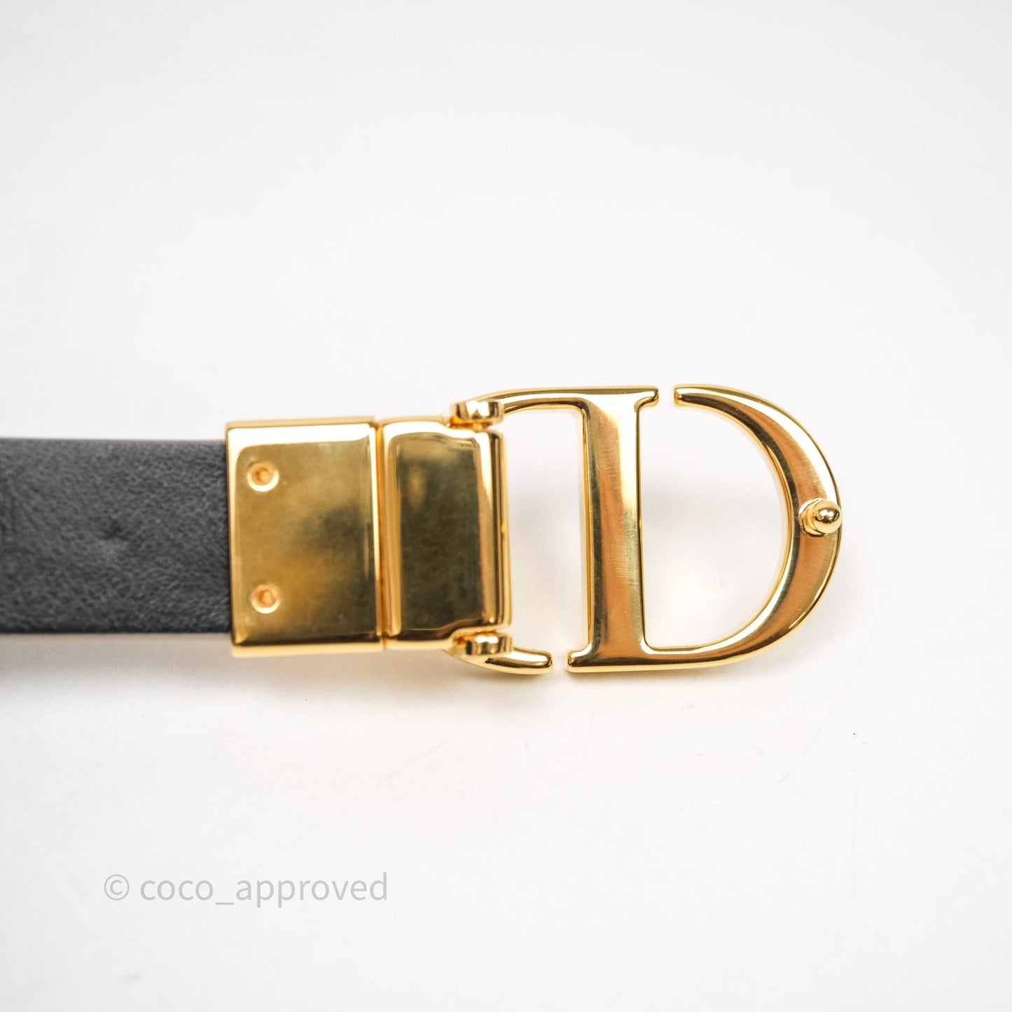 Dior 30 Montaigne Reversible Belt Hazelnut/Black Calfskin Gold Hardware Size 70