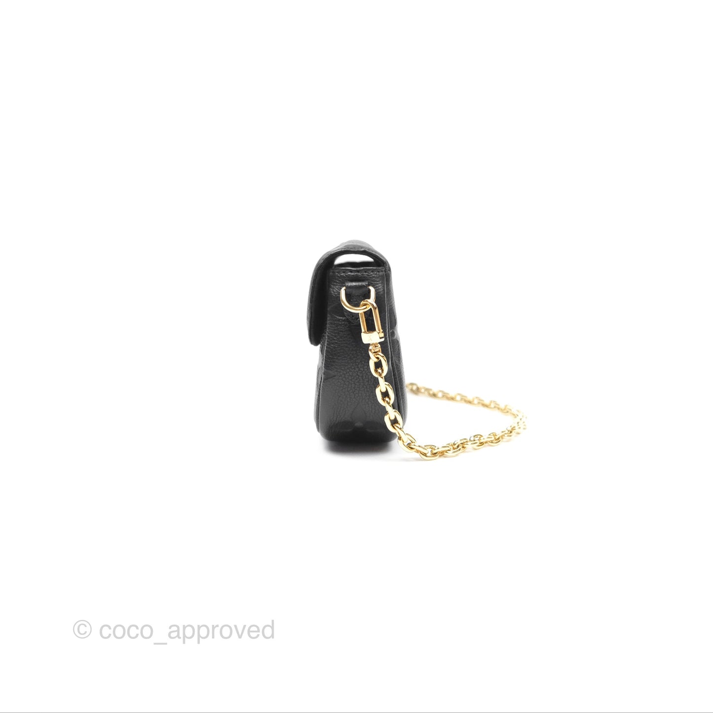 Louis Vuitton Ivy Wallet on Chain Monogram Empreinte Giant