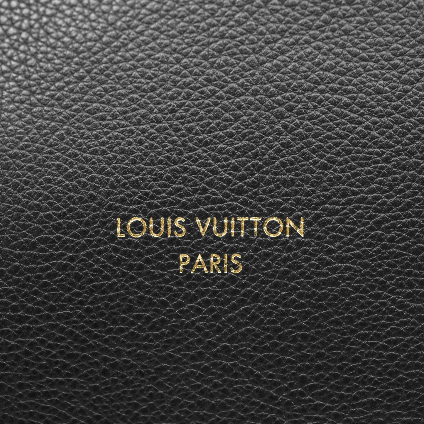 Louis Vuitton Low Key Hobo MM Black Grained Calfskin