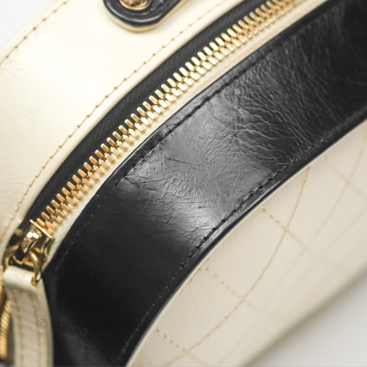 Chanel Camera Case Bag Black/White Calfskin Gold Hardware