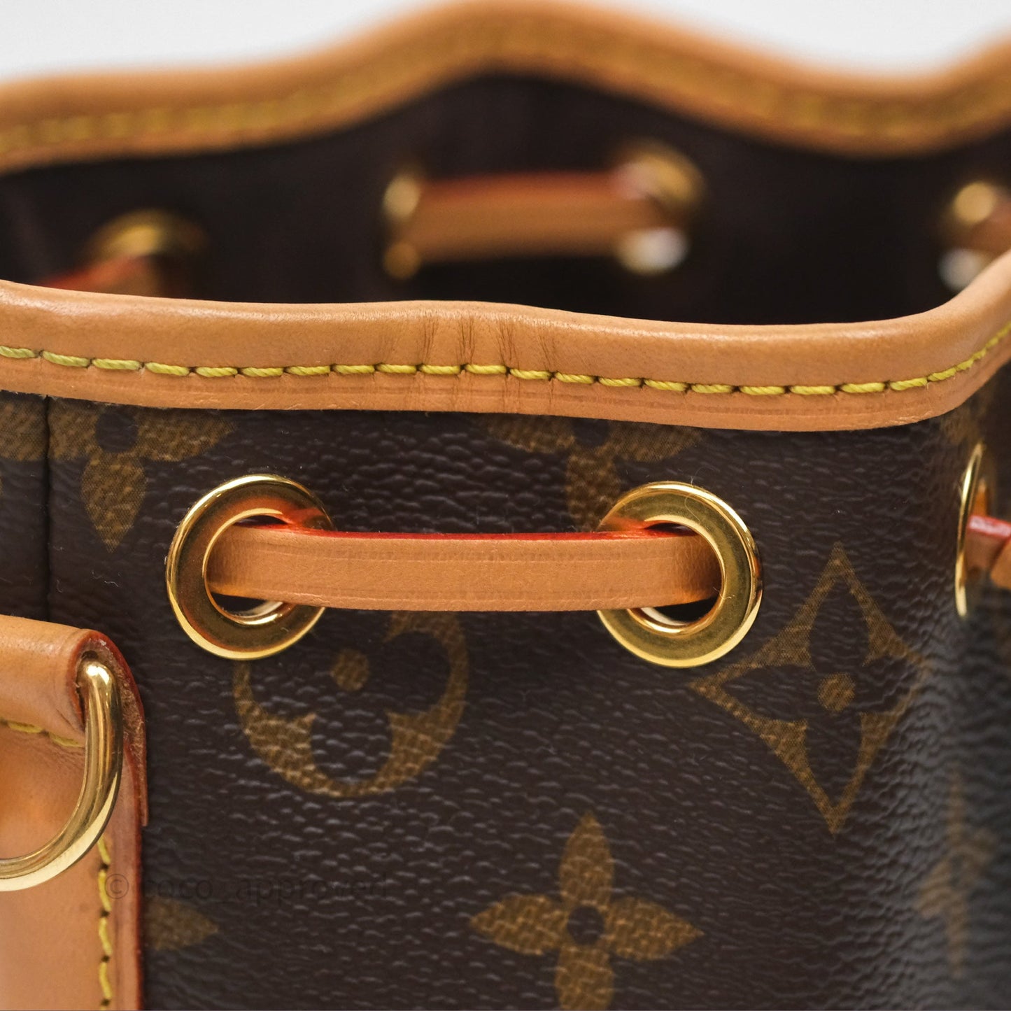 Louis Vuitton Nano Noe Monogram