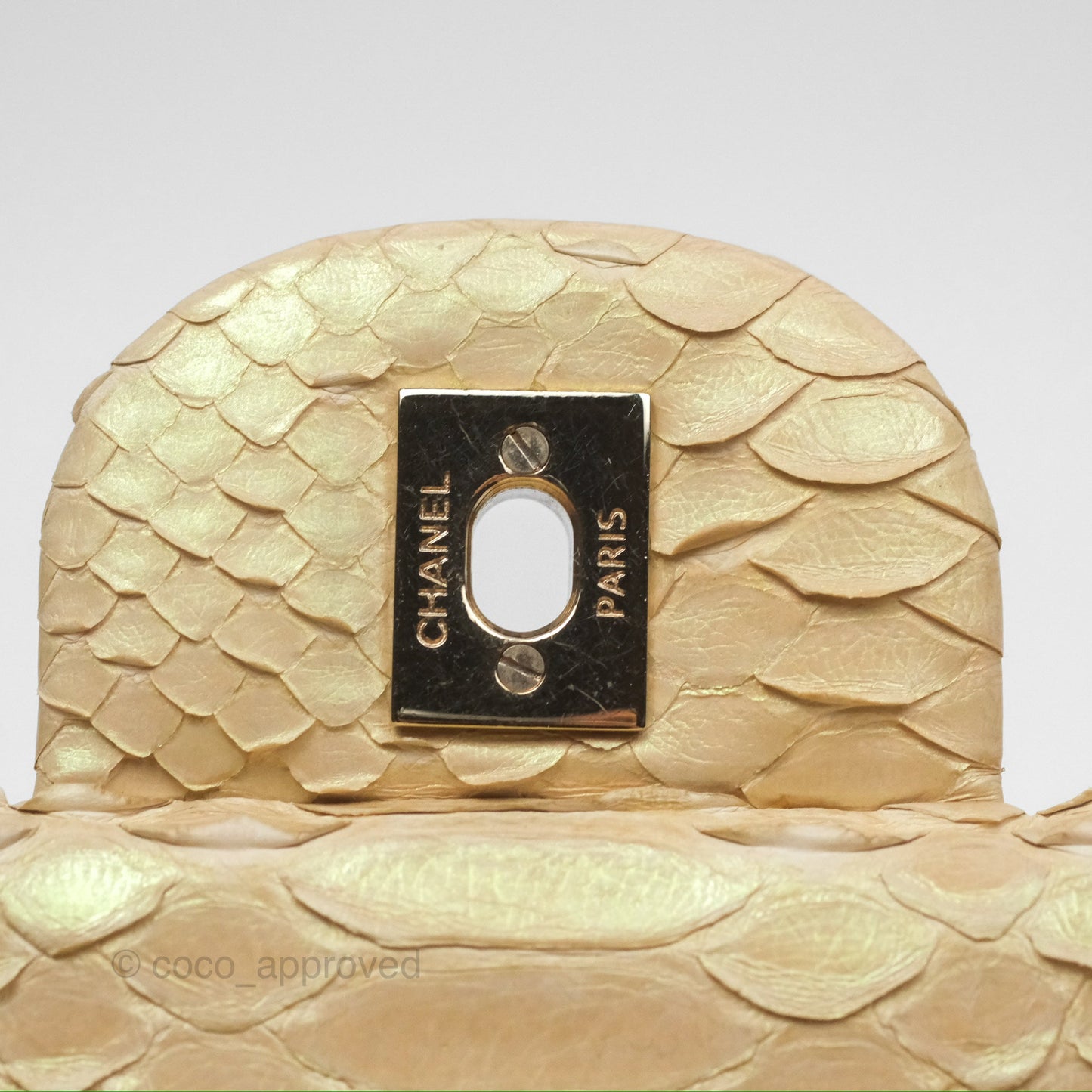 Chanel Jumbo Double Flap Iridescent Gold Python Gold Hardware⁣⁣