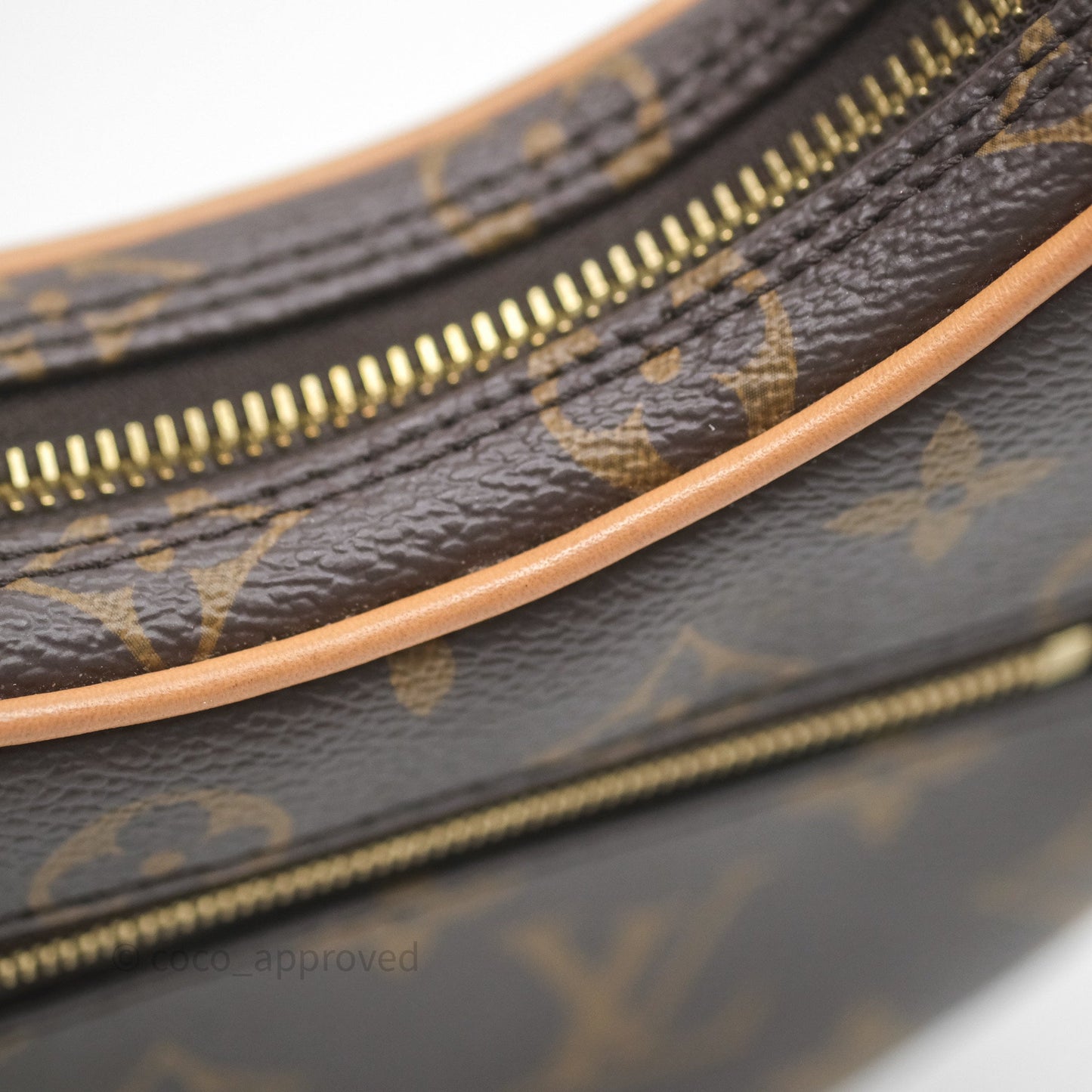 Louis Vuitton Loop Monogram Canvas