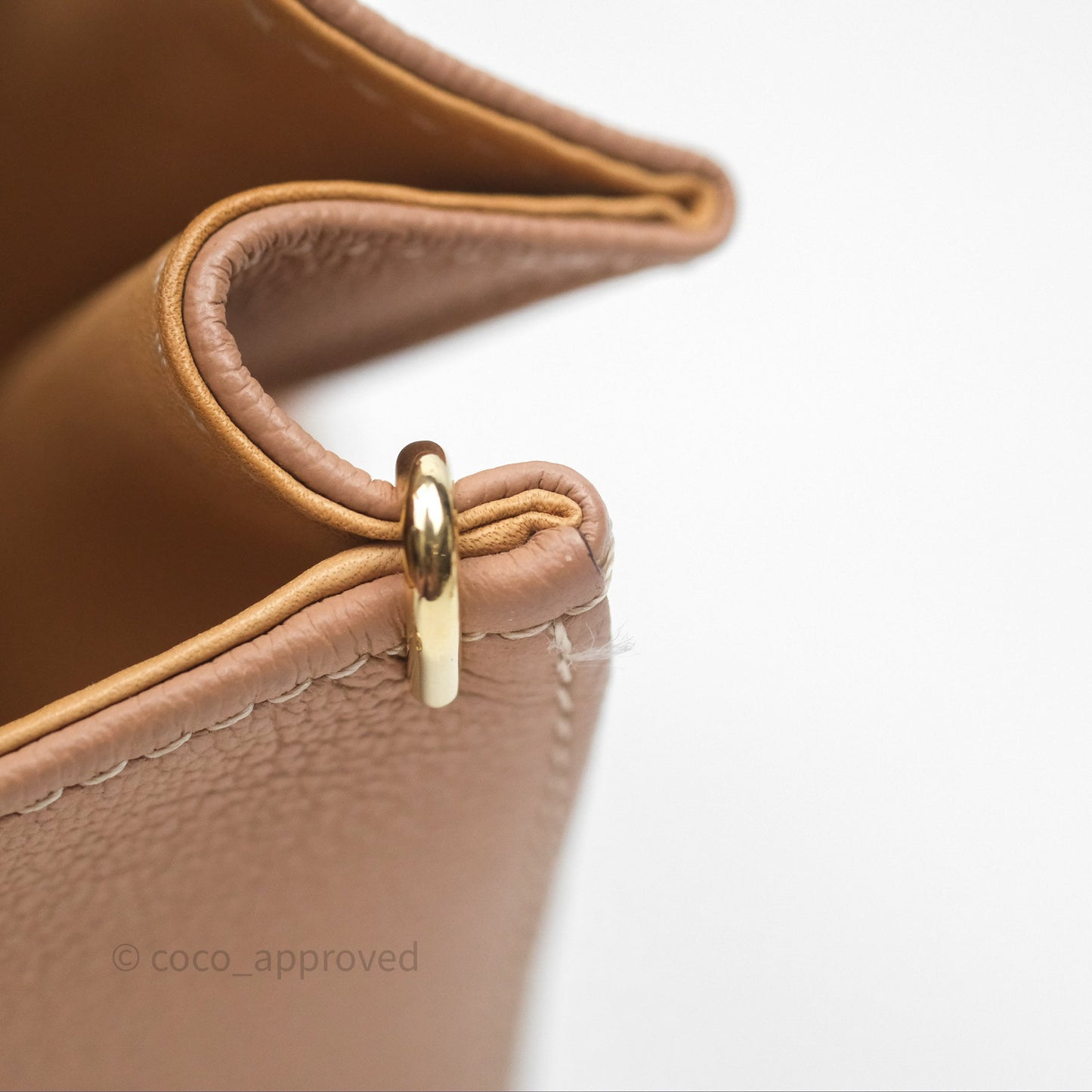 Delvaux Mini Brillant Bag Vison Grained Calfskin Gold Hardware with Twilly