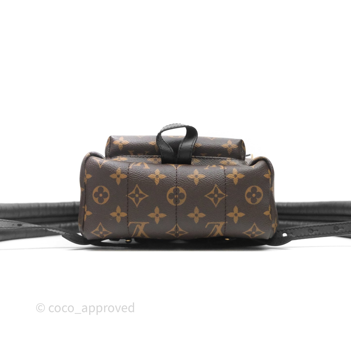 Louis Vuitton Palm Springs Backpack⁣ Monogram PM