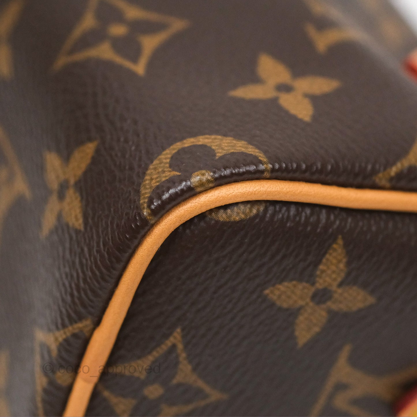 Louis Vuitton Nano Speedy Monogram