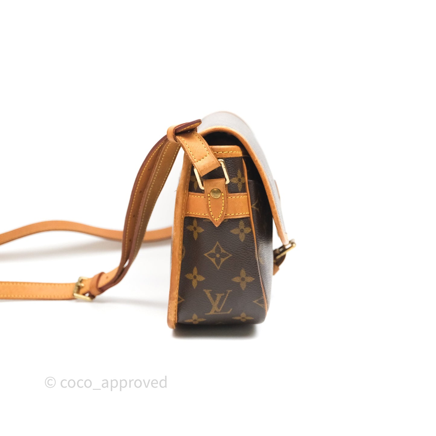 Louis Vuitton Vintage Diane Bag Monogram Canvas