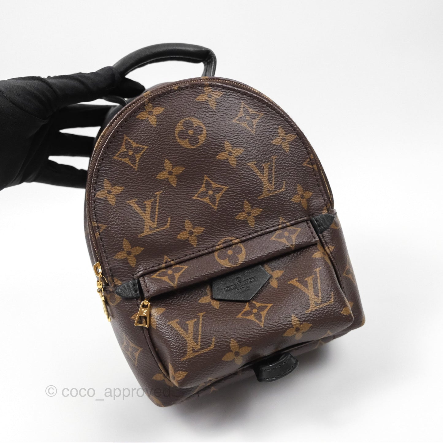 Louis Vuitton Monogram Mini Palm Springs Backpack⁣