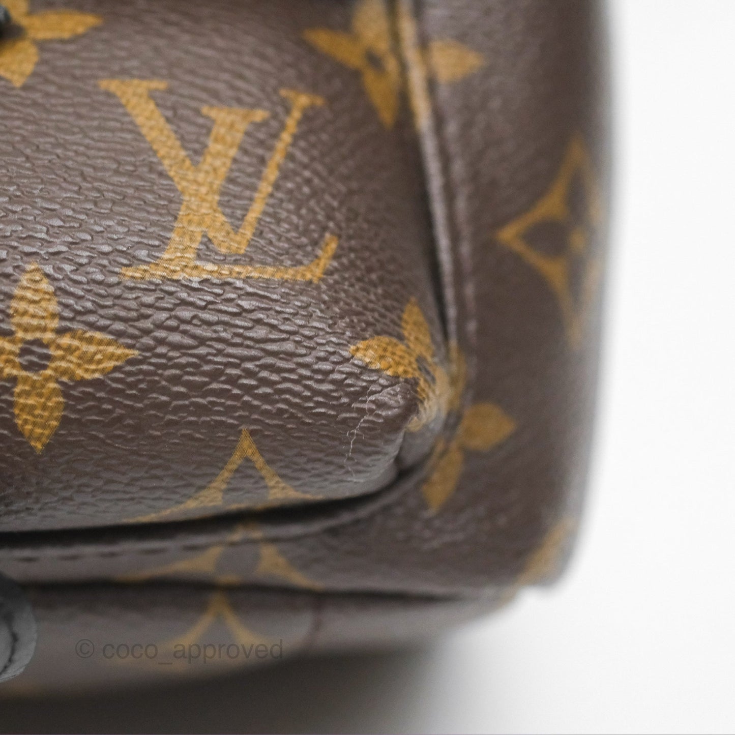 Louis Vuitton Mini Palm Springs Backpack⁣ Monogram