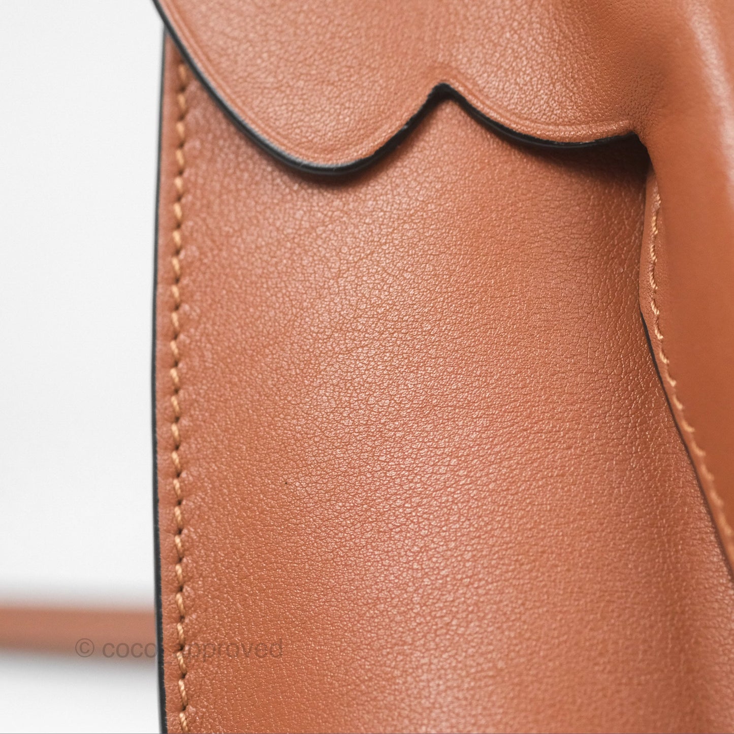 Loewe Elephant Pocket in Classic Calfskin Tan