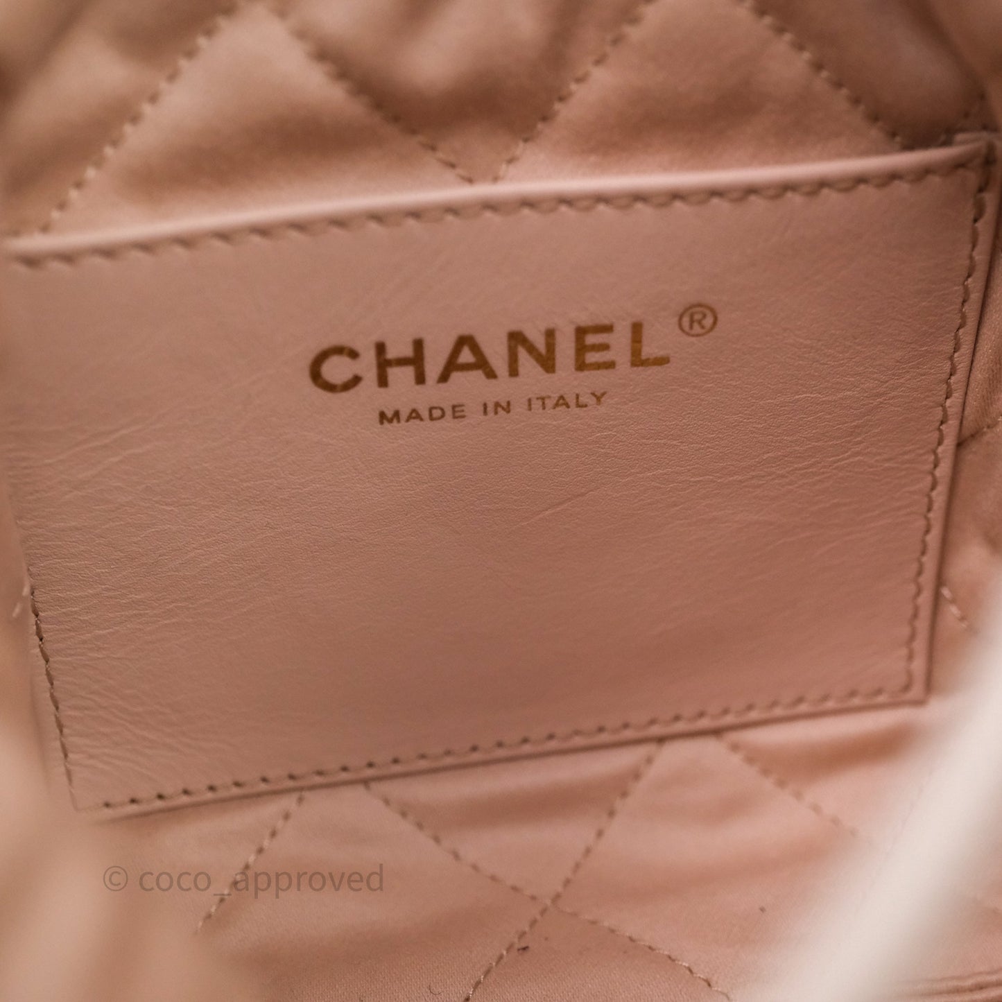 Chanel 22 Mini Bag Iridescent Light Pearly Calfskin Aged Gold Hardware