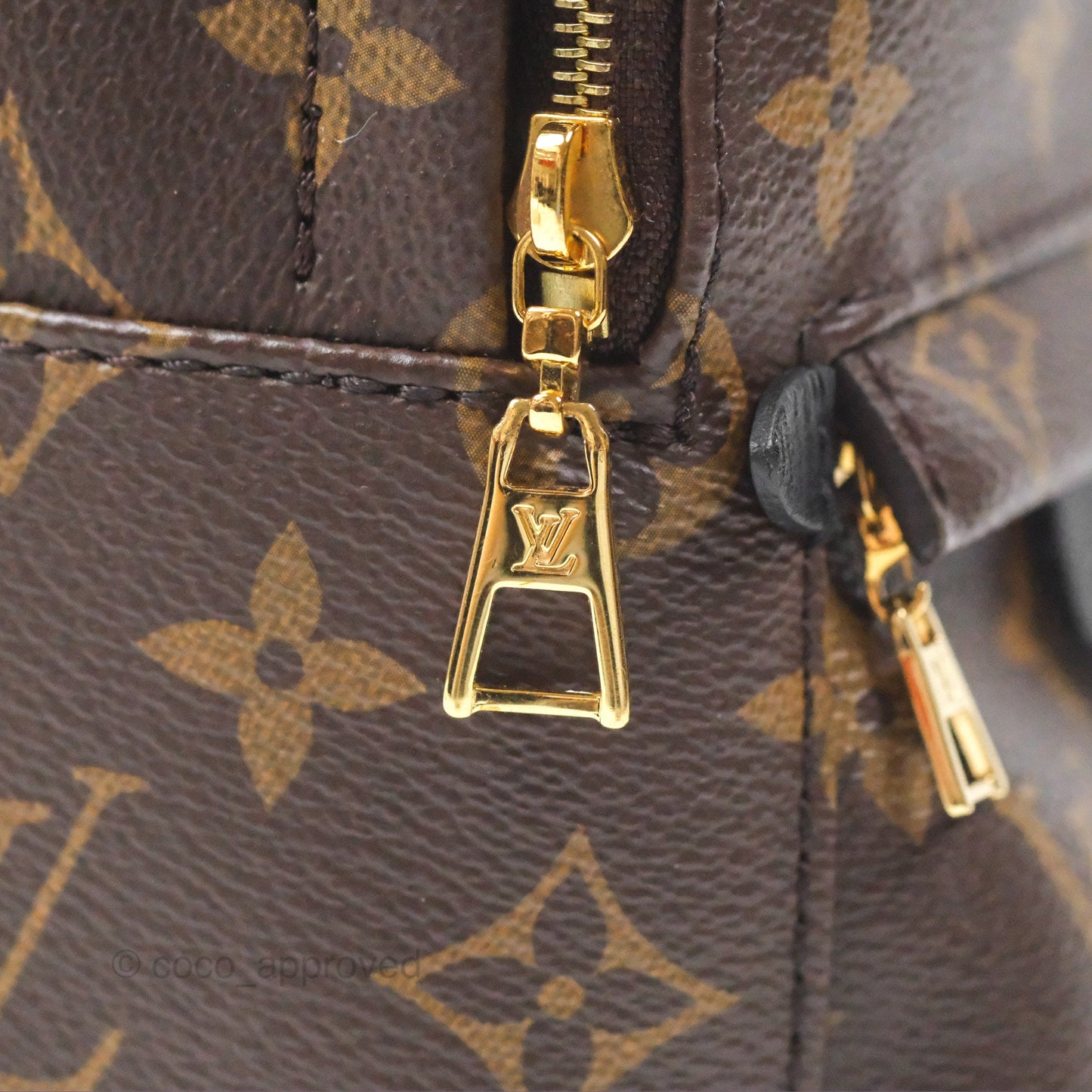 Louis Vuitton Monogram Mini Palm Springs Backpack⁣