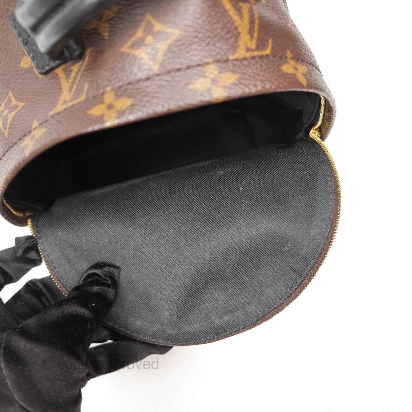 Louis Vuitton Mini Palm Springs Backpack⁣ Monogram