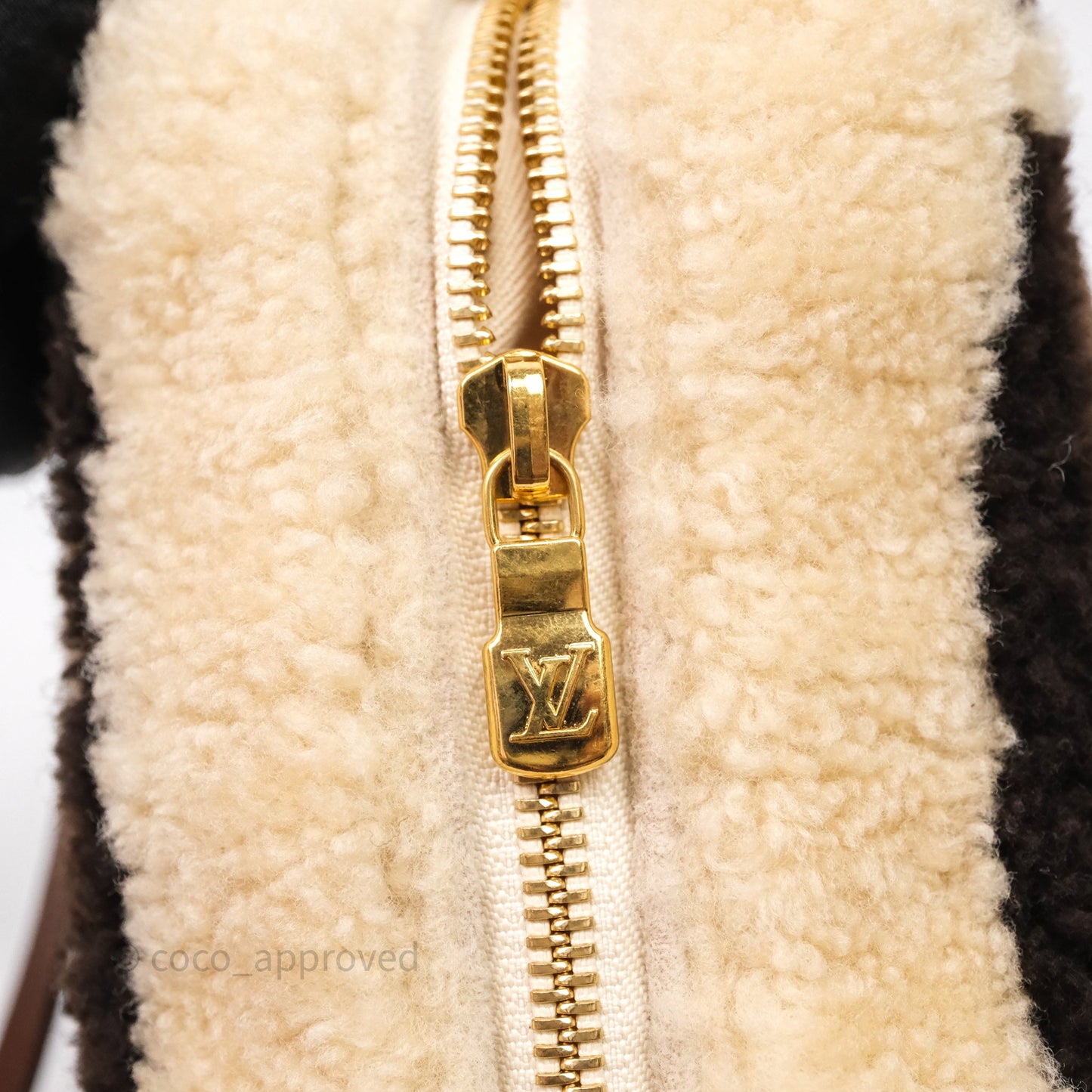 Louis Vuitton Teddy Beach Pouch Monogram