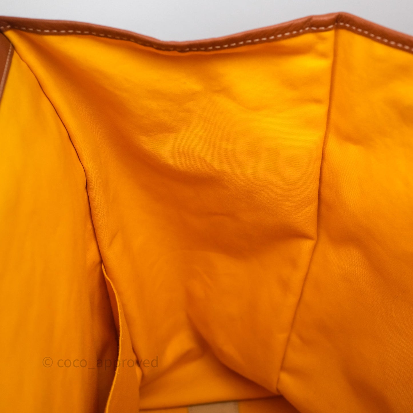Goyard Saint Léger Backpack Black/ Tan