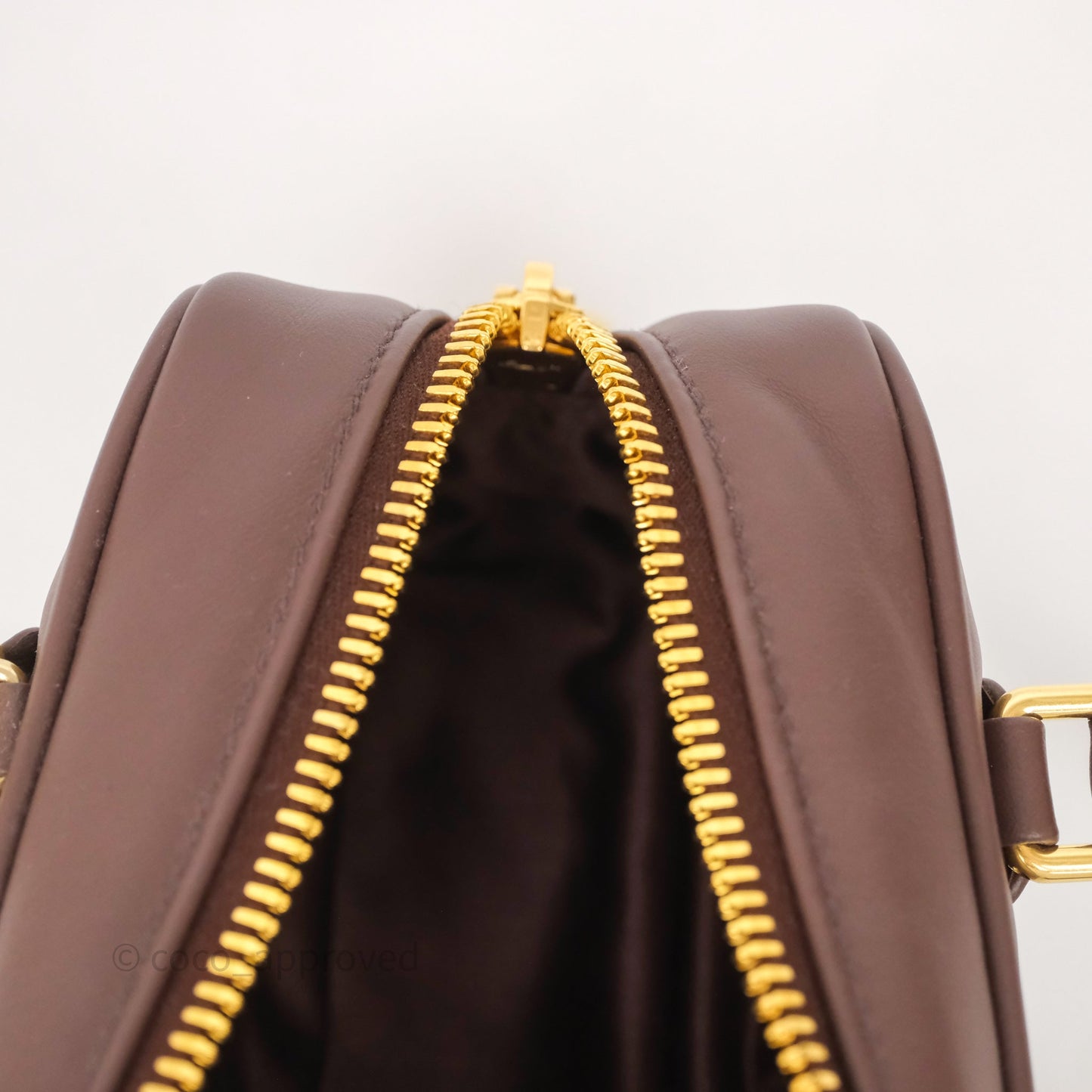 Miu Miu Arcadie Leather Bag Briarwood