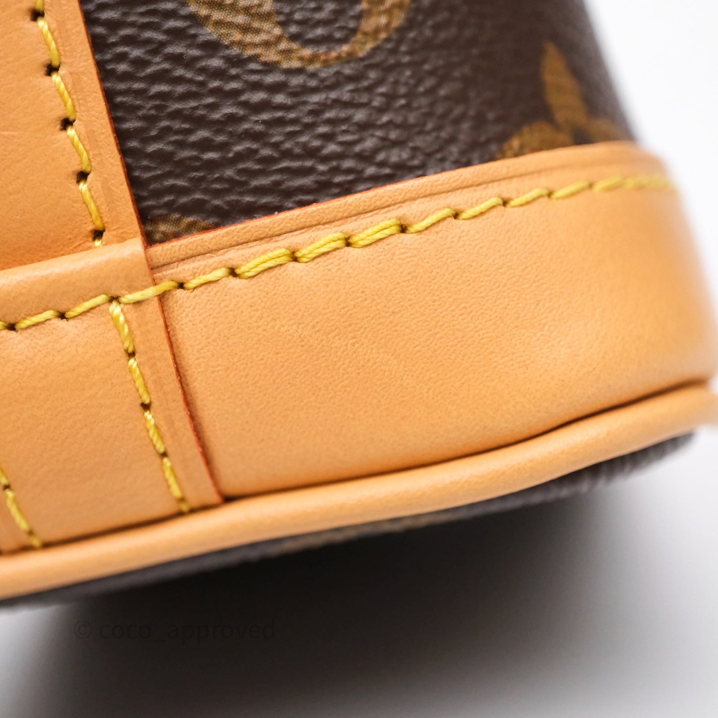Louis Vuitton Nano Noe Monogram