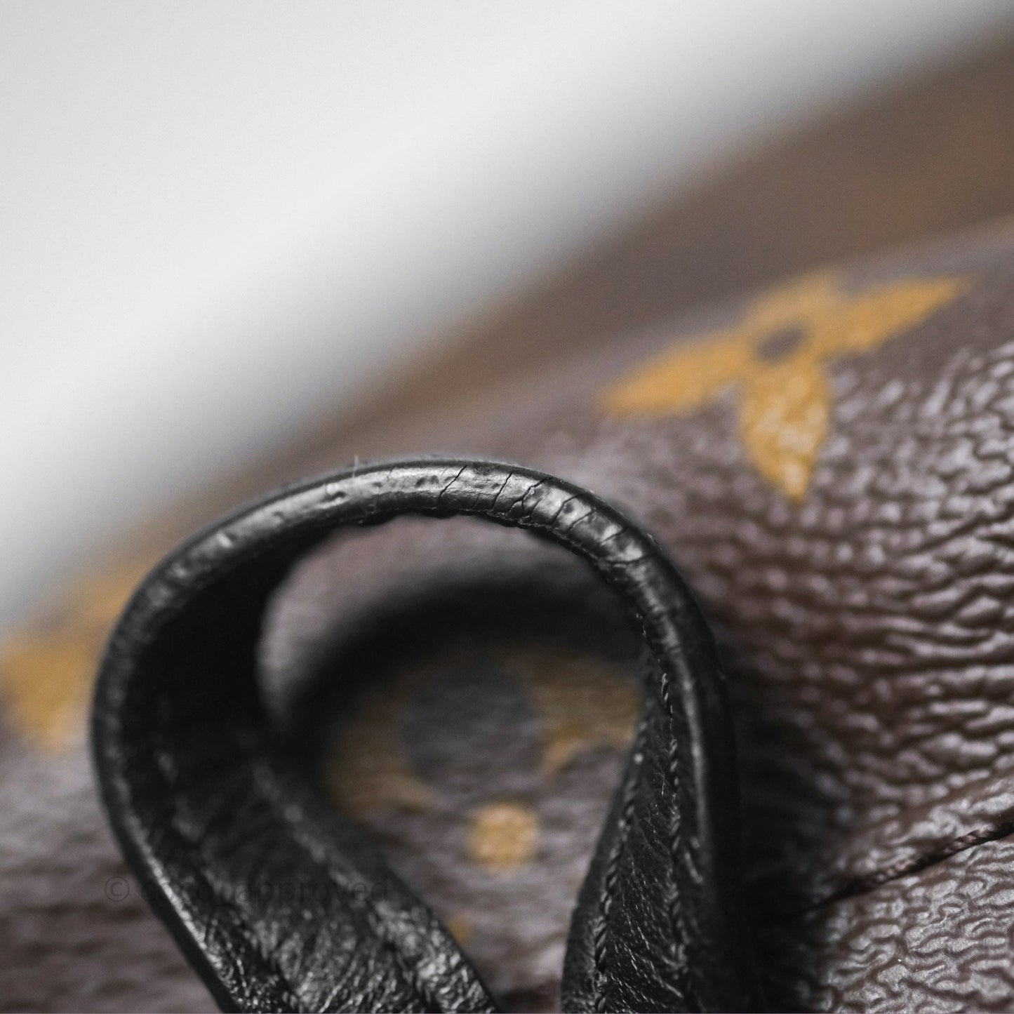 Louis Vuitton Monogram Mini Palm Springs Backpack⁣