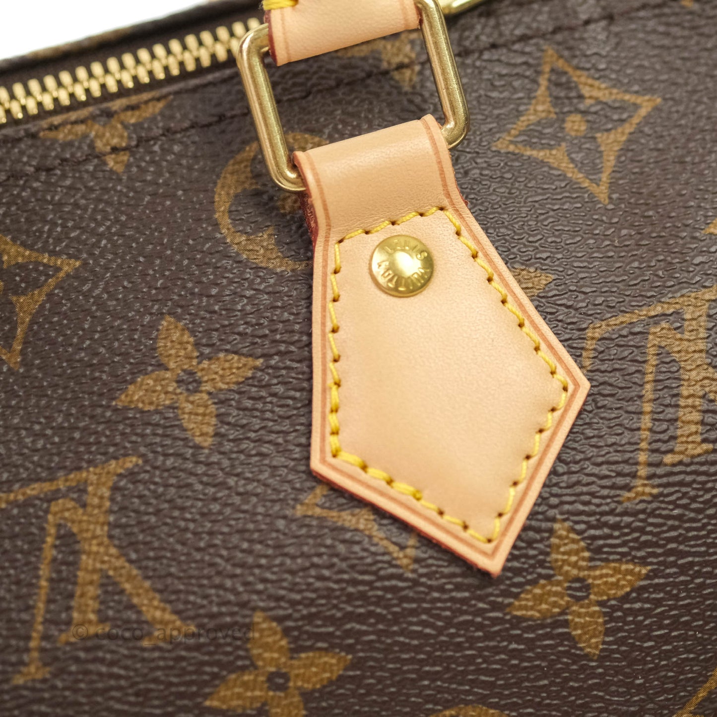 Louis Vuitton Monogram Canvas Speedy 25