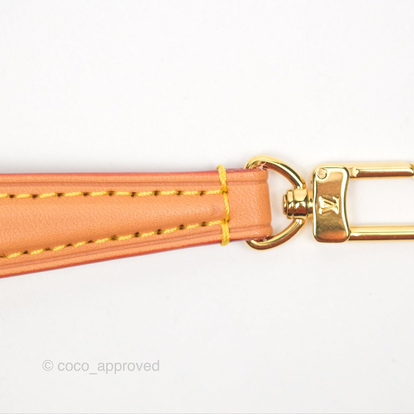 Louis Vuitton Nano Noe Monogram Canvas