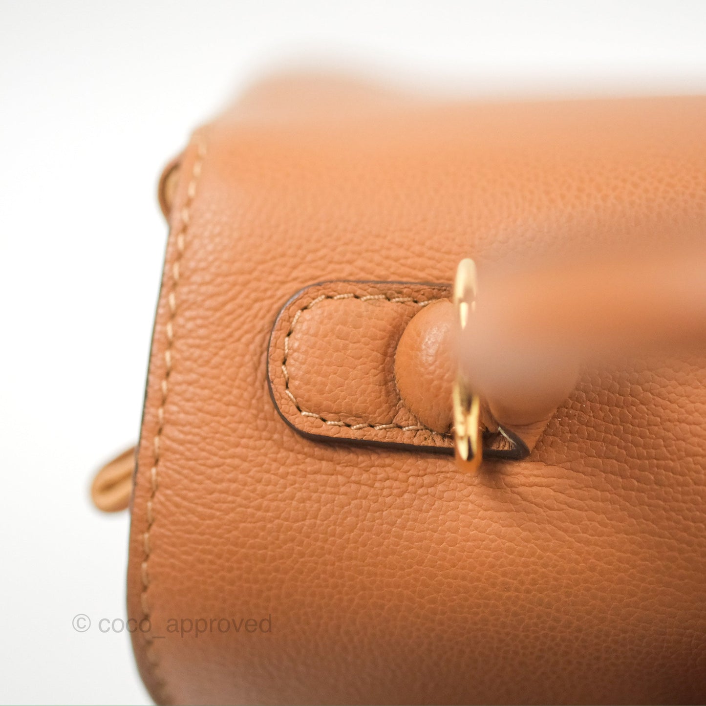 Delvaux Mini Brillant Bag Vegetal Rodeo Calf Gold Hardware