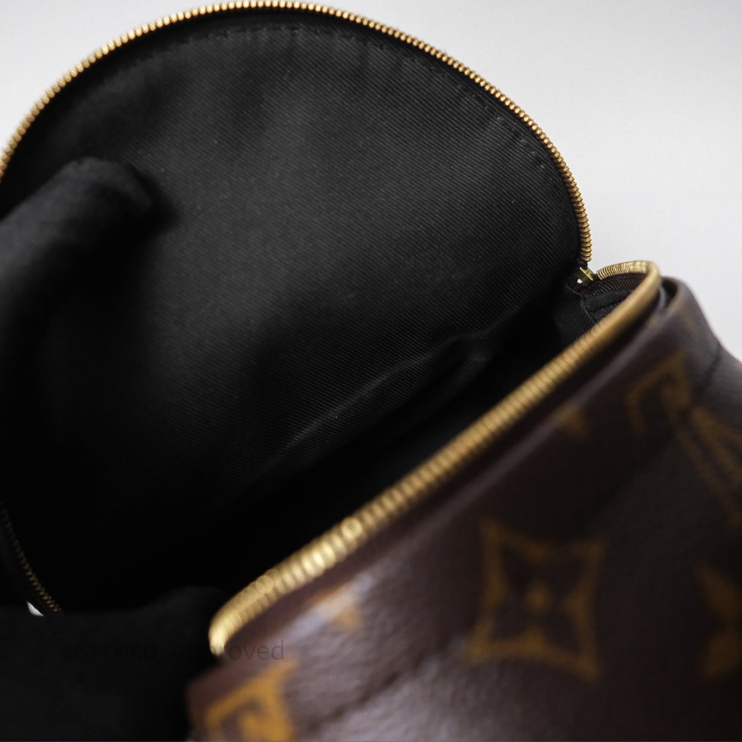Louis Vuitton Mini Palm Springs Backpack⁣ Monogram