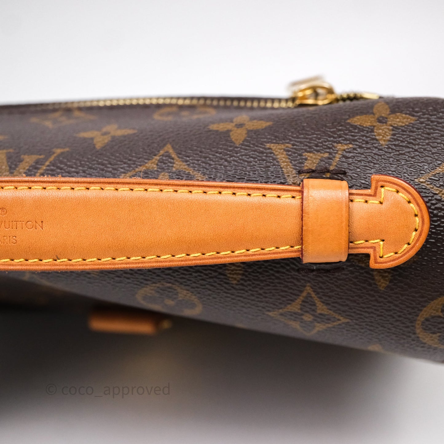 Louis Vuitton Pochette Metis Monogram Canvas
