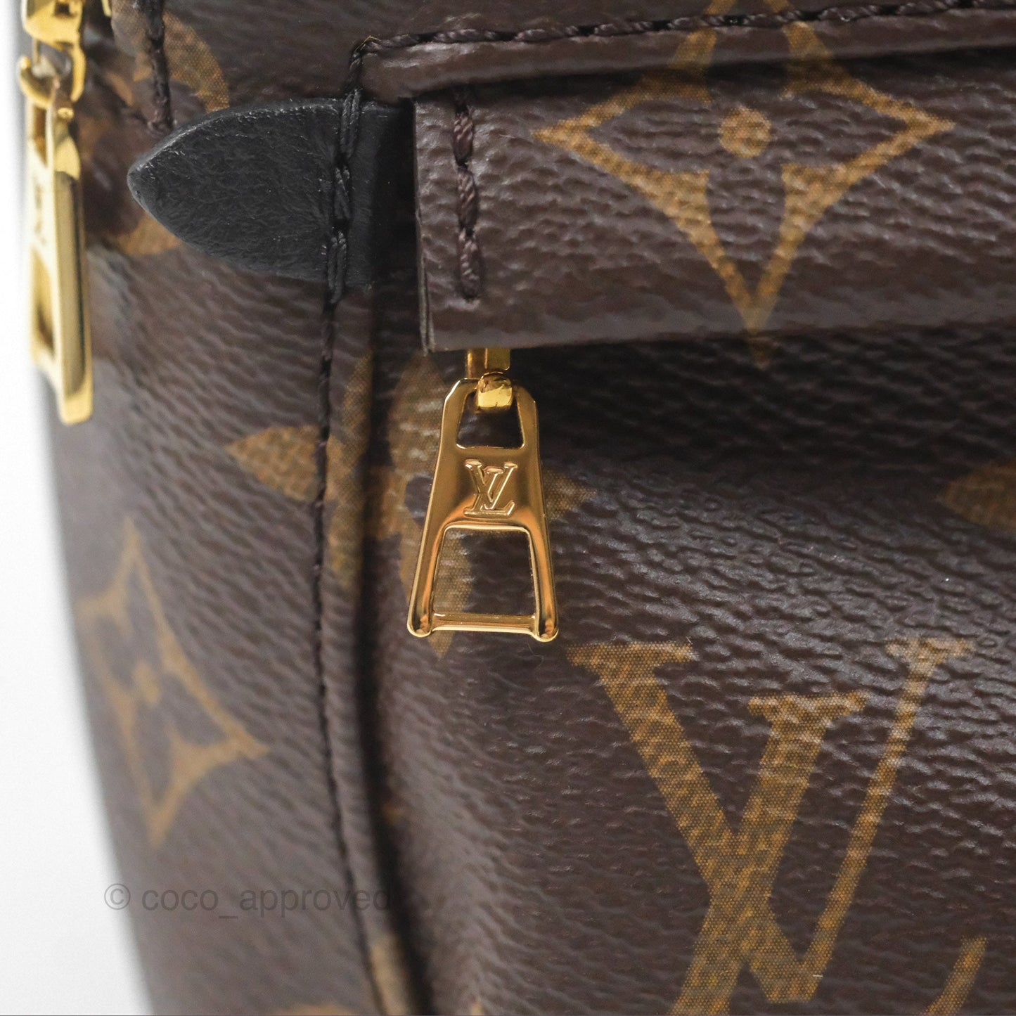 Louis Vuitton Monogram Mini Palm Springs Backpack⁣