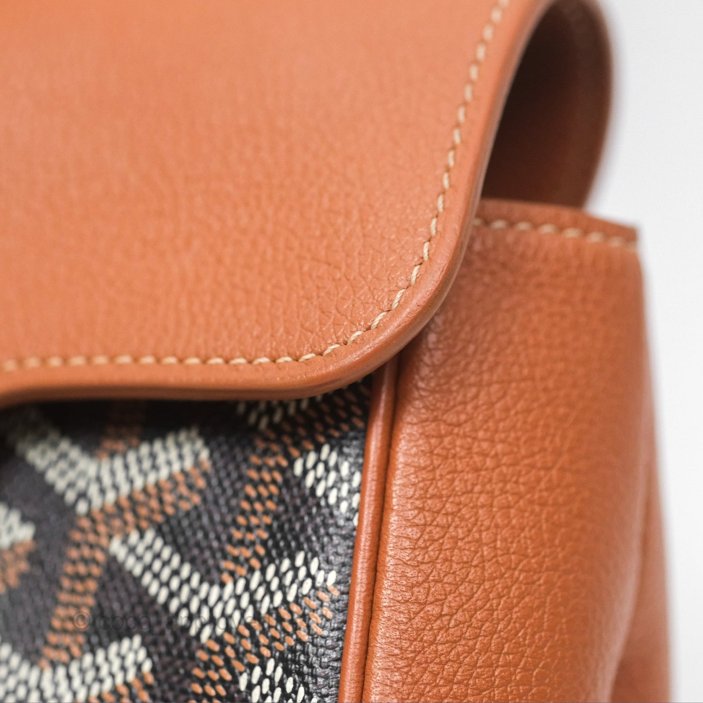 Goyard Saïgon Mini Bag Tan Goyardine Canvas/Chevroches Calfskin