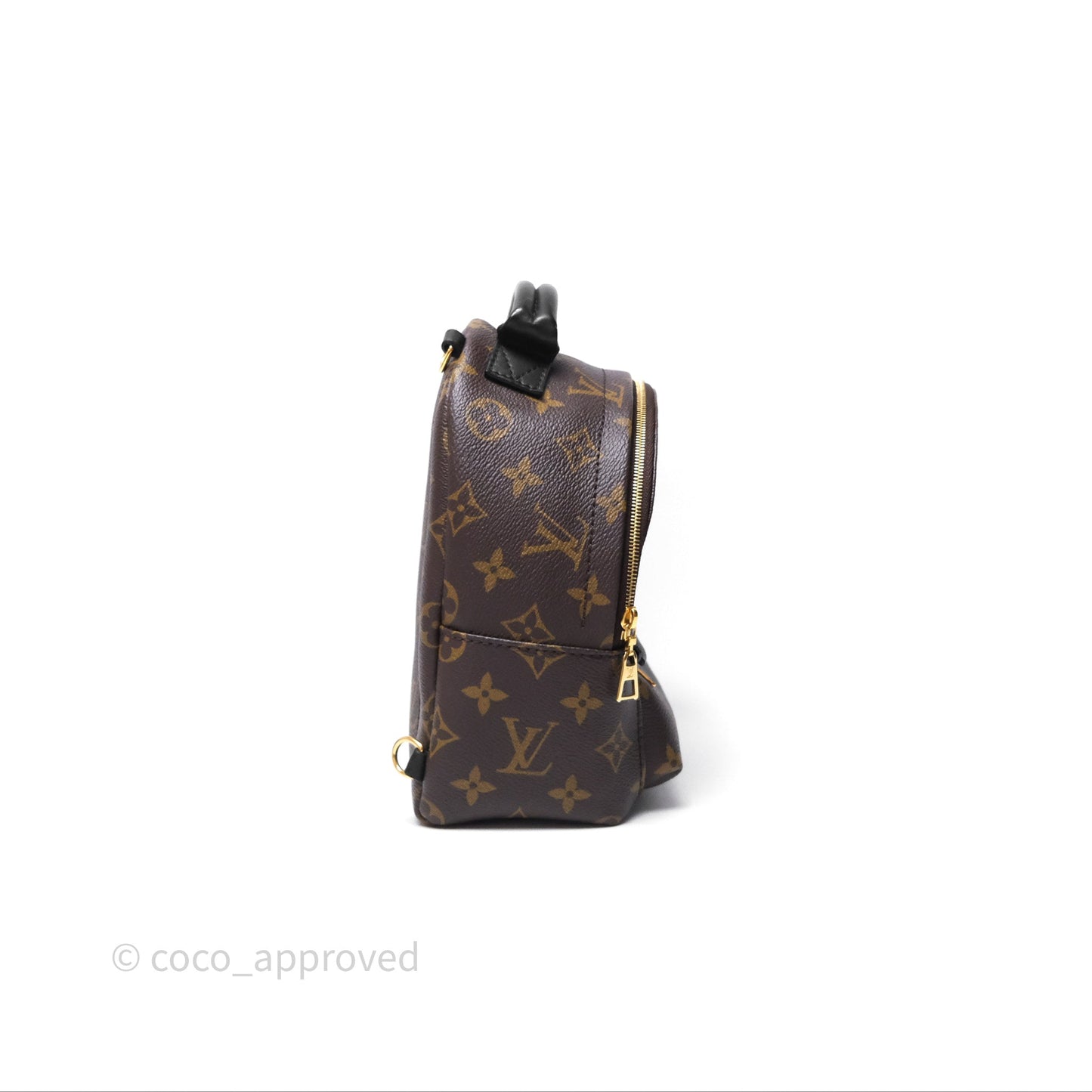 Louis Vuitton Mini Palm Springs Backpack⁣ Monogram