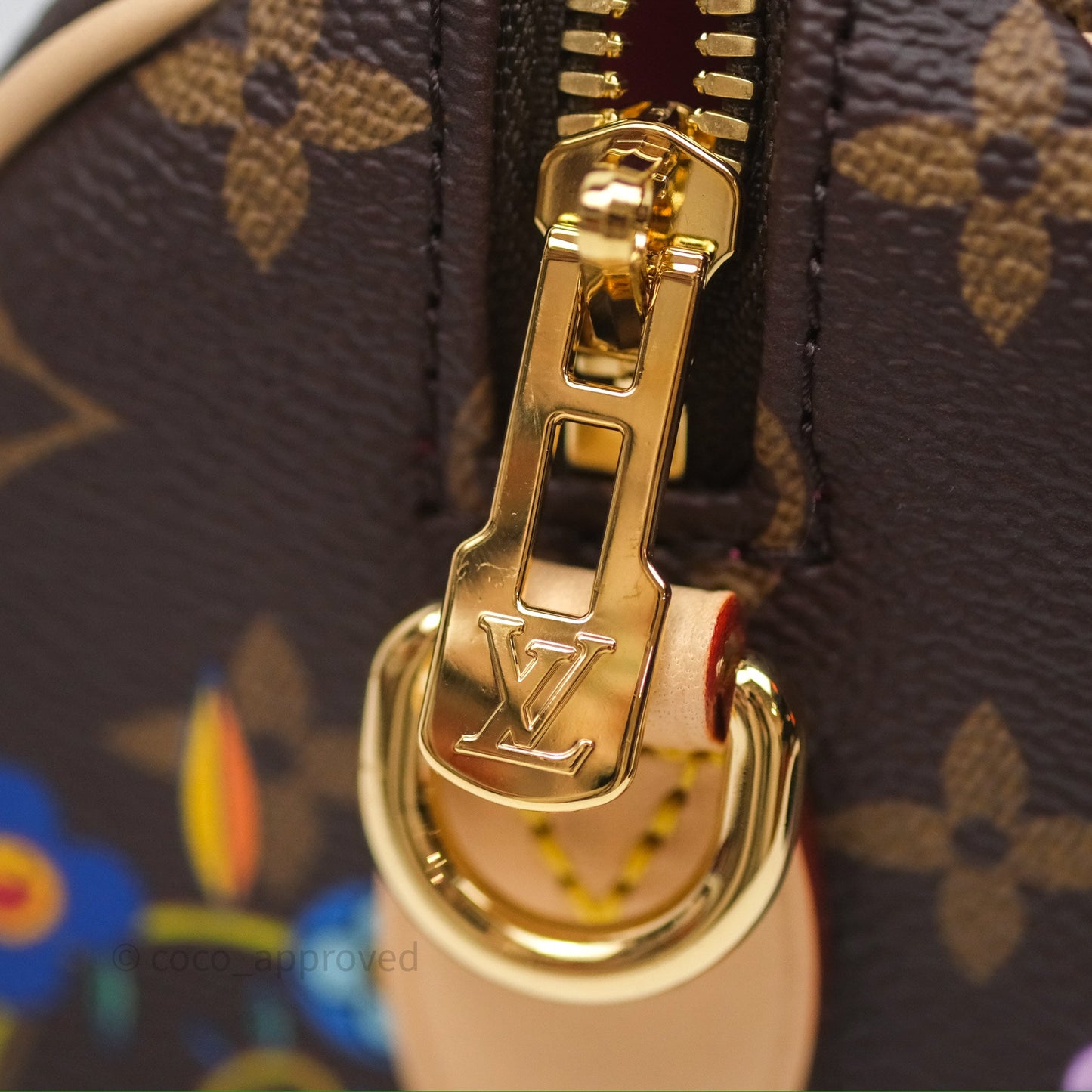 Louis Vuitton LV x Murakami Speedy Bandoulière 20 Monogram
