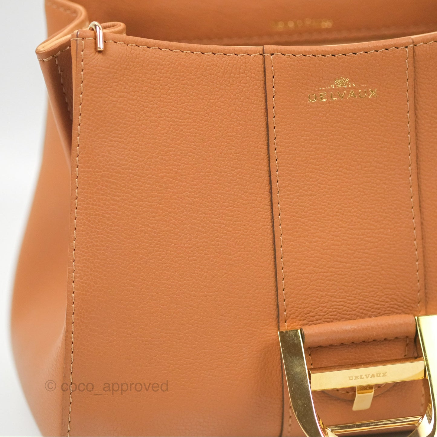 Delvaux Mini Brillant Bag Vegetal Rodeo Calf Gold Hardware
