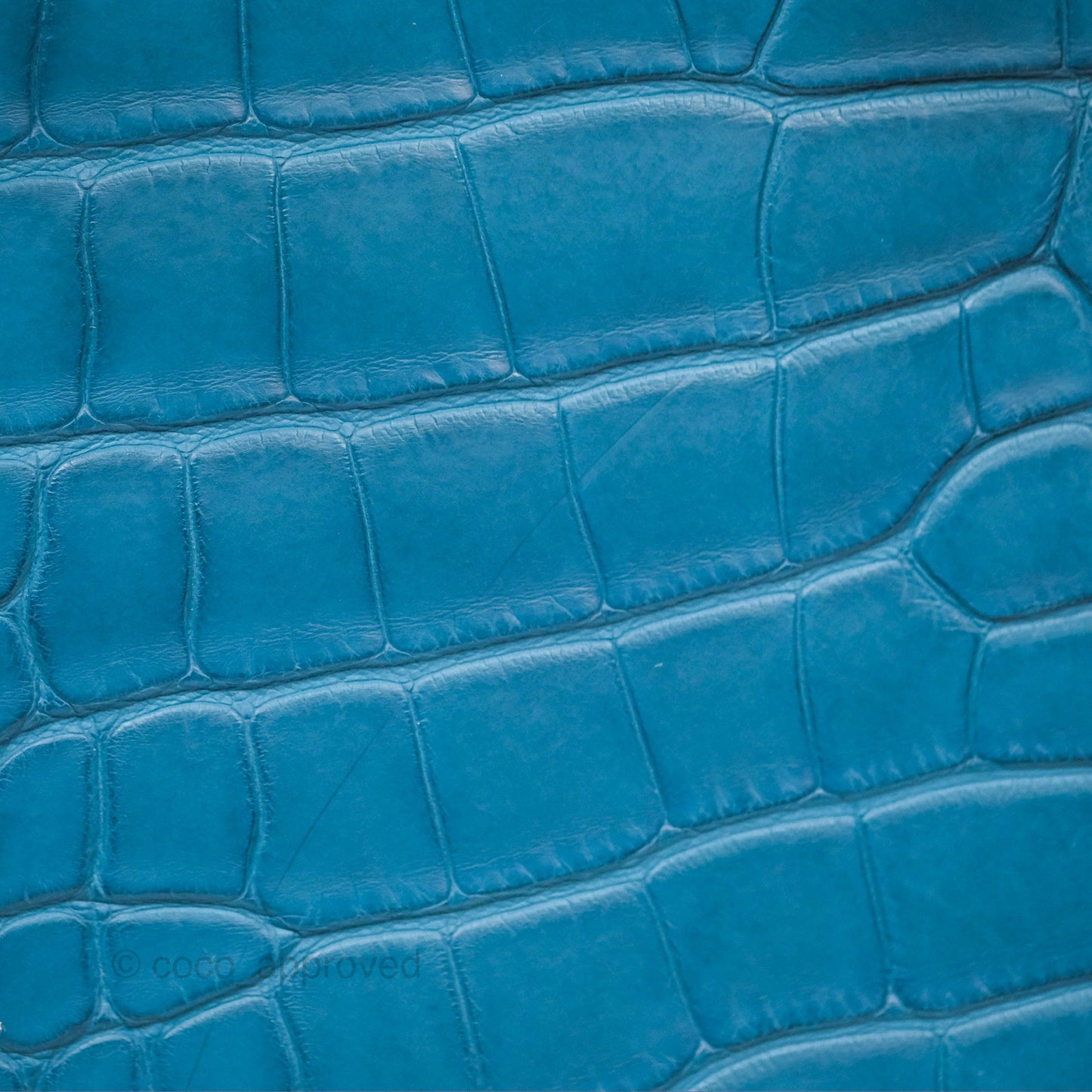 Hermès Birkin 30 Retourne Colvert Matte Niloticus Crocodile Palladium Hardware
