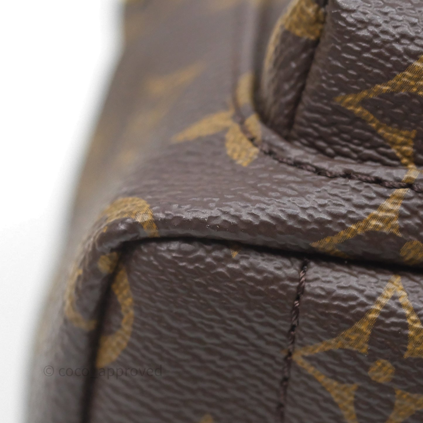 Louis Vuitton Mini Palm Springs Backpack⁣ Monogram