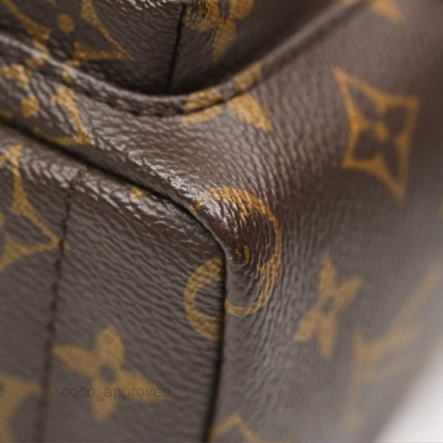 Louis Vuitton Mini Palm Springs Backpack⁣ Monogram