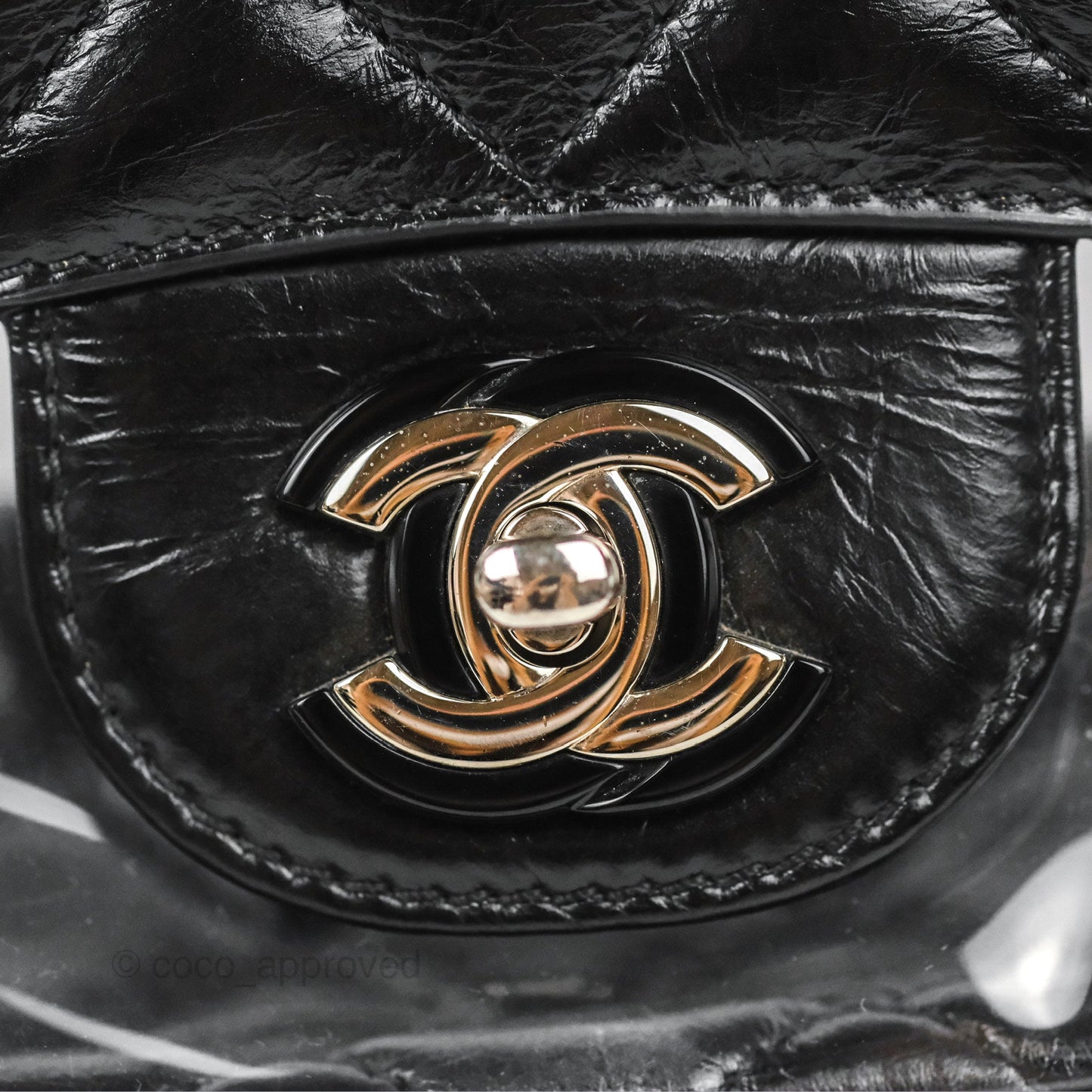 Chanel Aquarium PVC Backpack Black Crumpled Calfskin Silver Hardware