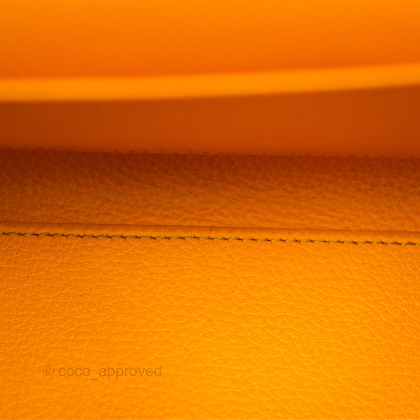 Goyard Saïgon Mini Bag Tan Goyardine Canvas/Chevroches Calfskin
