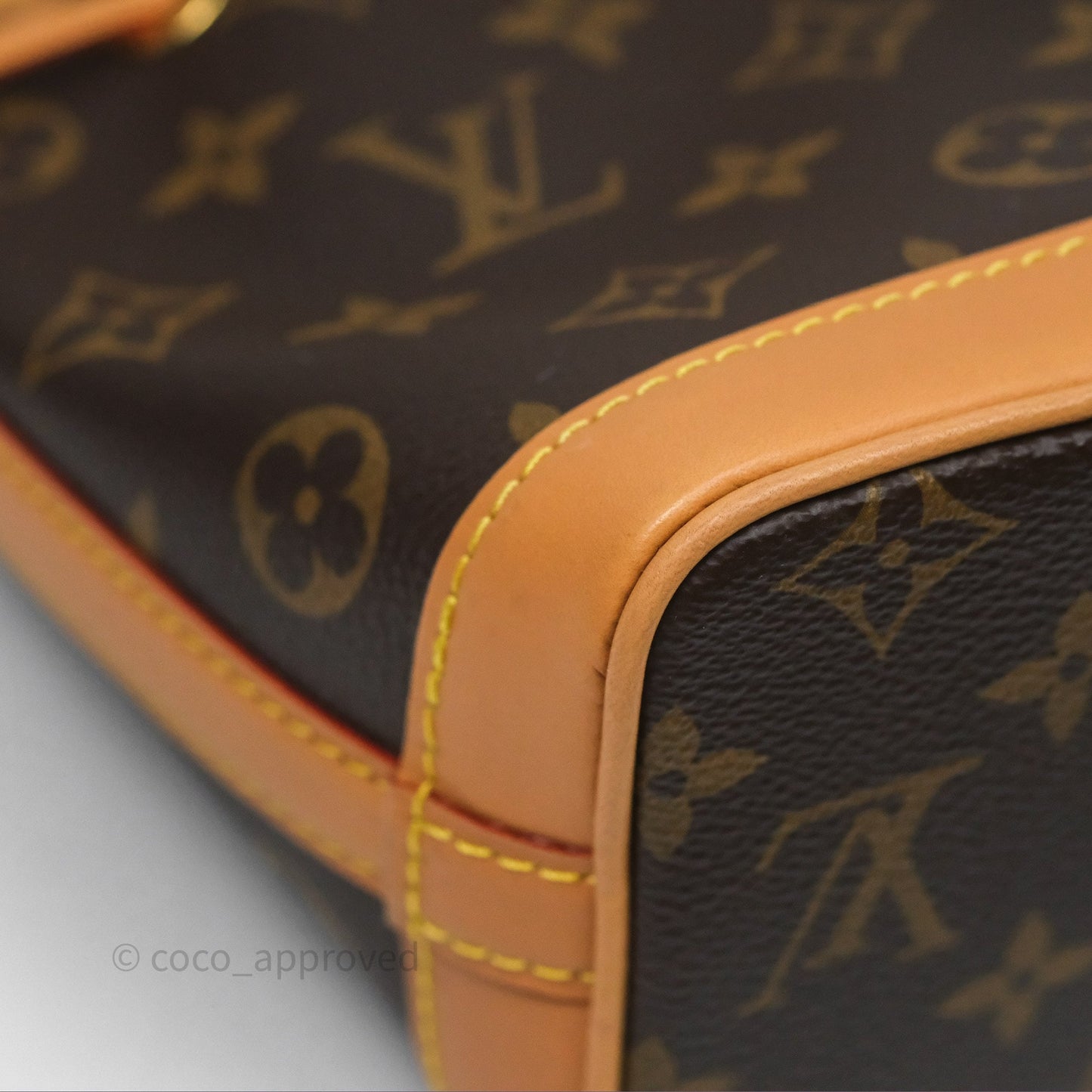 Louis Vuitton Nano Noe Monogram